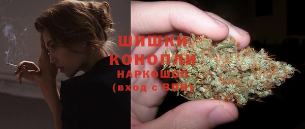 гидра Верея